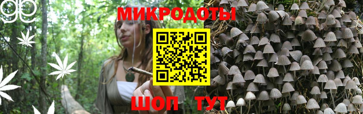 Псилоцибиновые грибы ЛСД  Галлюциногенные грибы Magic Shrooms  Александров  Вход с VPN 
